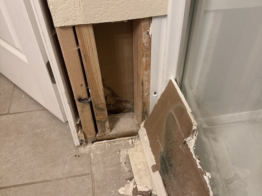 Drywall removed from a basement bathroom wall showing mold on the back face